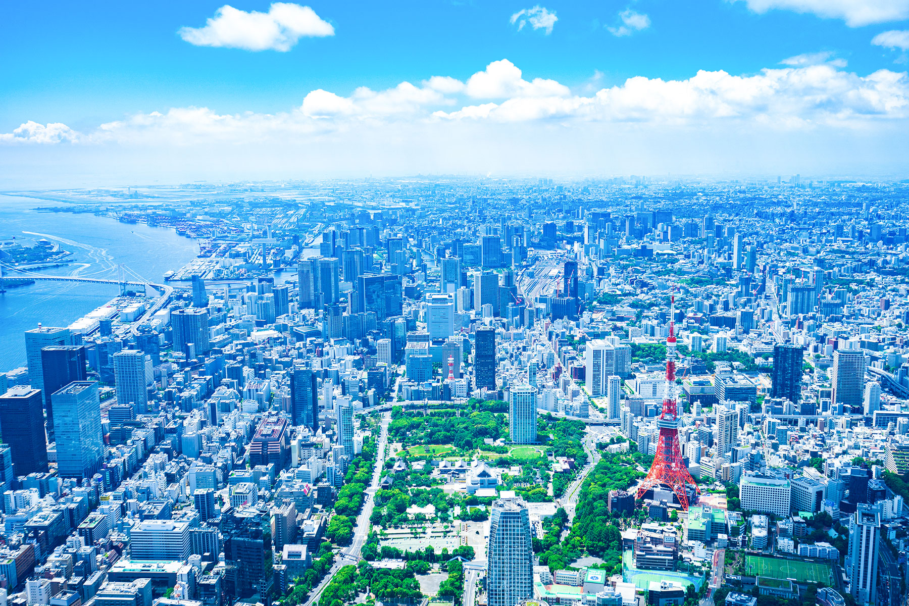 未来を見据えるイメージ